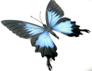 Large Metal Blue,Pink Butterfly-Garden Wall Hanging Art Ornament Indoor/Outdoor