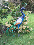 Primus Standing Peacock Hand Crafted Metal Garden Bird Ornament Sculpture PQ1505