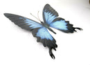 Large Metal Blue,Pink Butterfly-Garden Wall Hanging Art Ornament Indoor/Outdoor