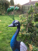 Primus Standing Peacock Hand Crafted Metal Garden Bird Ornament Sculpture PQ1505