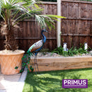 Primus Standing Peacock Hand Crafted Metal Garden Bird Ornament Sculpture PQ1505