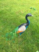 Primus Standing Peacock Hand Crafted Metal Garden Bird Ornament Sculpture PQ1505