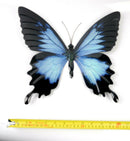 Large Metal Blue,Pink Butterfly-Garden Wall Hanging Art Ornament Indoor/Outdoor