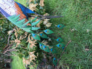 Primus Standing Peacock Hand Crafted Metal Garden Bird Ornament Sculpture PQ1505