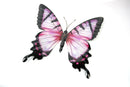 Large Metal Blue,Pink Butterfly-Garden Wall Hanging Art Ornament Indoor/Outdoor