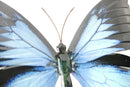 Large Metal Blue,Pink Butterfly-Garden Wall Hanging Art Ornament Indoor/Outdoor
