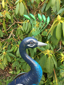 Primus Standing Peacock Hand Crafted Metal Garden Bird Ornament Sculpture PQ1505