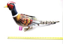 LIFE SIZE PHEASANT Metal Garden Ornament Lifelike Outdoor Indoor Garden Bird