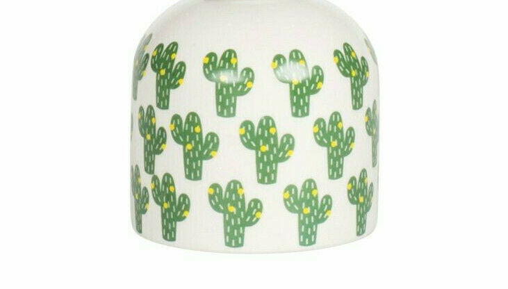 Sass & Belle Cactus Plant Ceramic Mister Water Spray Pot Indoor Garden