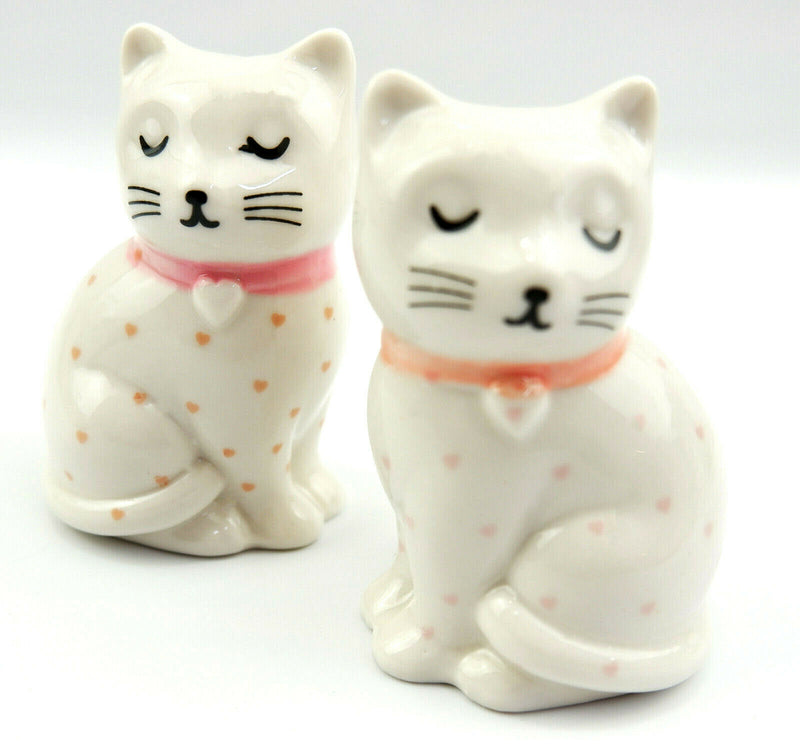 Sass and Belle Novelty Ceramic Salt & Pepper Shaker Pot Condiment Set Table Gift