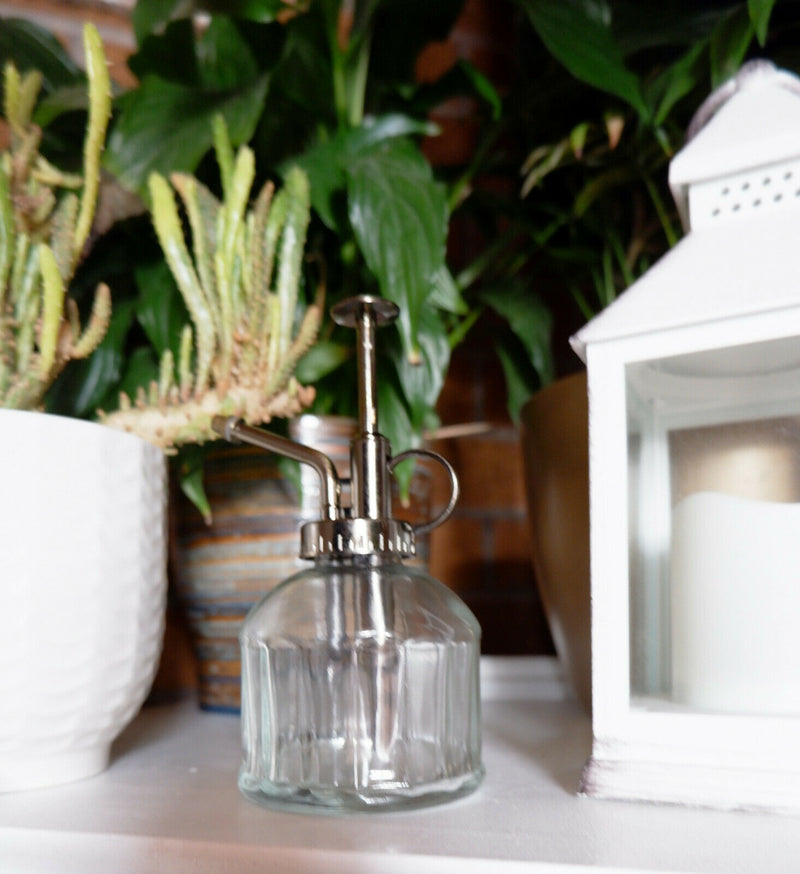 Sass & Belle Vintage Glass Botanical Style Plant Mister Water Spray Pot Garden