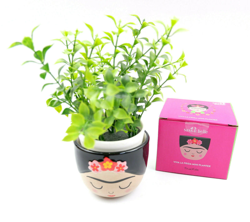 Sass & Belle Mini Small Frida Kahlo Face Planter Flower Plant Pot Home Decor