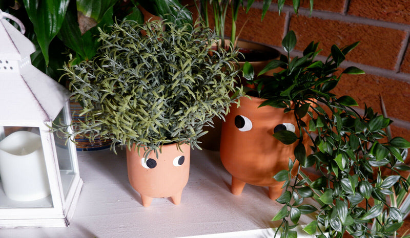 Sass & Belle Leggy Terracotta Planter & Little Leggy Terracotta Planter Set Gift