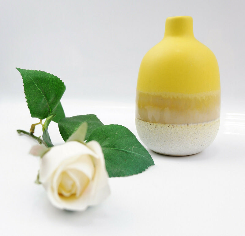 Sass & Belle Mojave Glaze Vases Flower Vase Holder Home Decoration