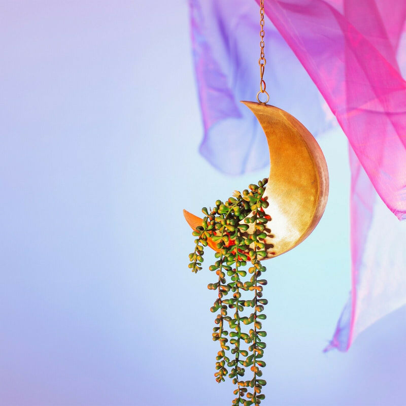 Sass and Belle Celestial Moon Hanging Planter Gift Plant Pot Holder