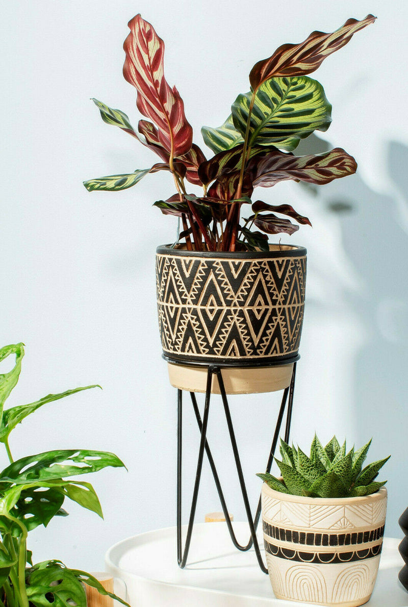 Sass & Bell Nomad Plant Stand Planter with Wire Stand Planter Home Pot Decor