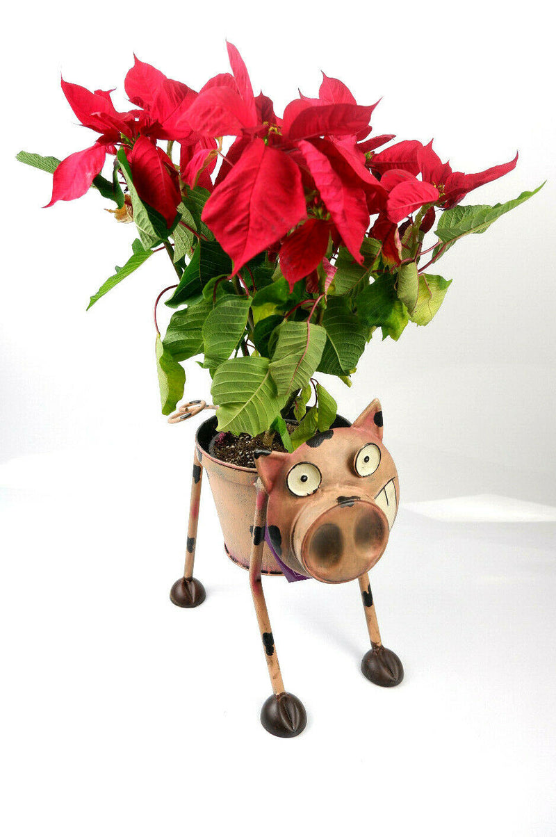 Goofy Nodding Pig Metal Planter Hand Decorative Sweet/Bottle Holder Ornament