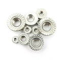 M3 M4 M6 M8 M10 Flanged Nuts Stainless Steel Hex Flange Nut Serrated A2