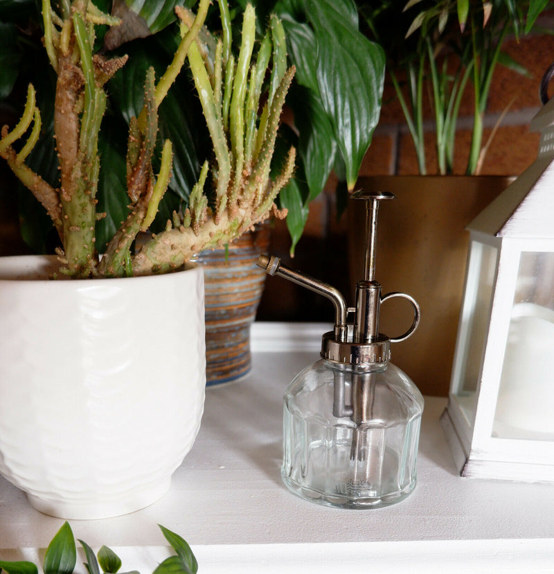 Sass & Belle Vintage Glass Botanical Style Plant Mister Water Spray Pot Garden