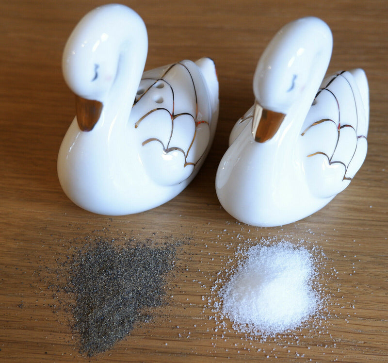Sass and Belle Novelty Ceramic Salt & Pepper Shaker Pot Condiment Set Table Gift