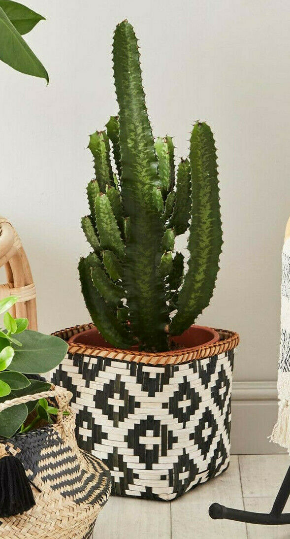 Scandi Boho Geo Bamboo Small Storage Basket Toys Tidy Planter Home