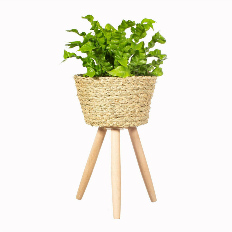 Sass & Belle Basket Planter on Legs Large Plant Holder Storage Flower
