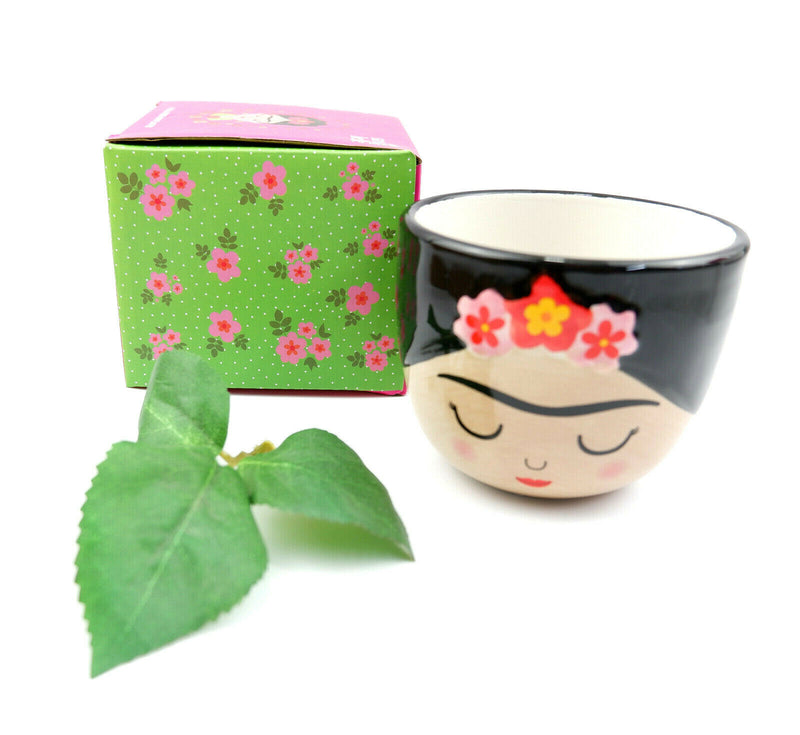 Sass & Belle Mini Small Frida Kahlo Face Planter Flower Plant Pot Home Decor