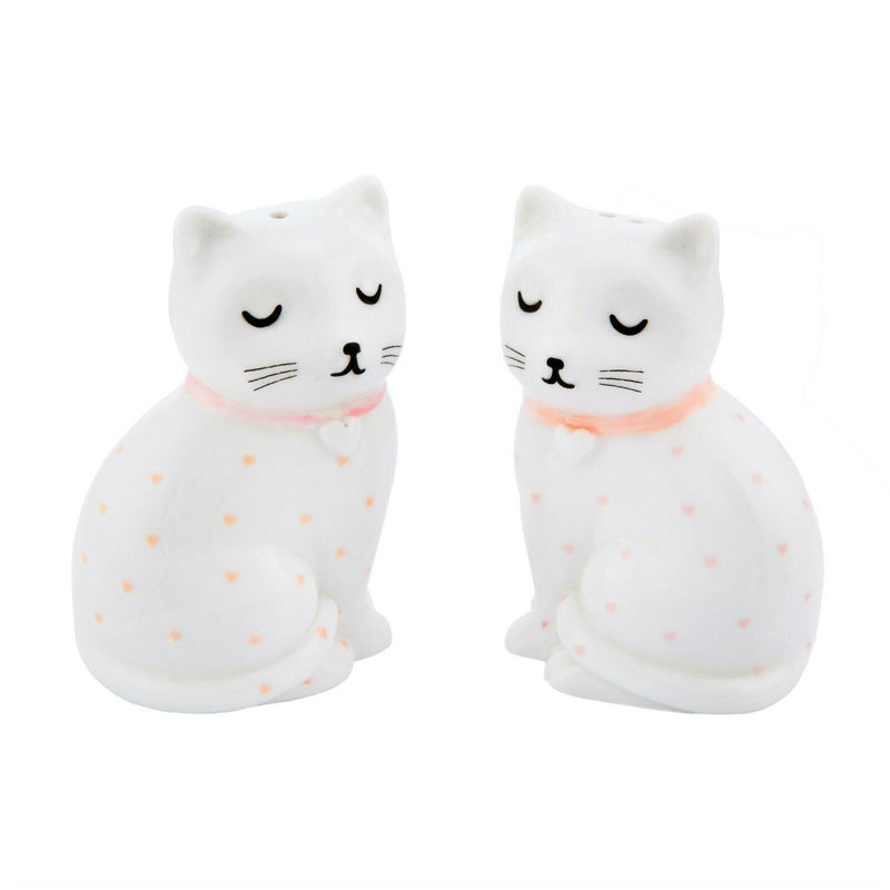 Sass and Belle Novelty Ceramic Salt & Pepper Shaker Pot Condiment Set Table Gift