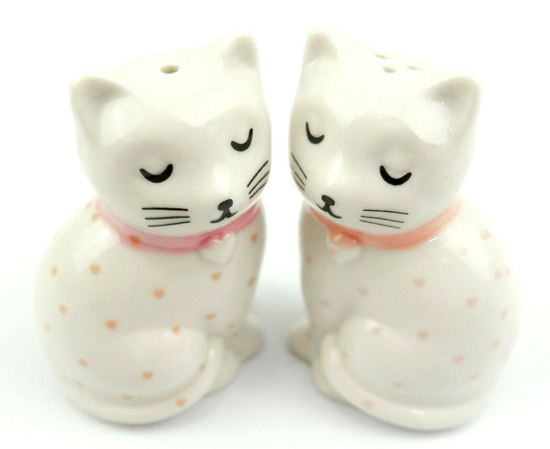 Sass and Belle Novelty Ceramic Salt & Pepper Shaker Pot Condiment Set Table Gift
