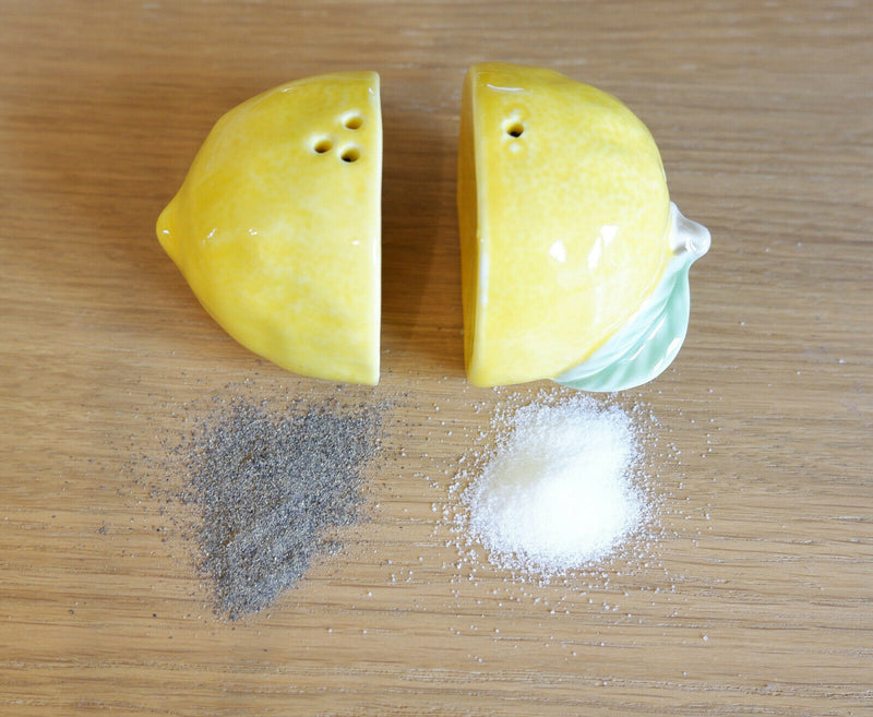 Sass and Belle Novelty Ceramic Salt & Pepper Shaker Pot Condiment Set Table Gift