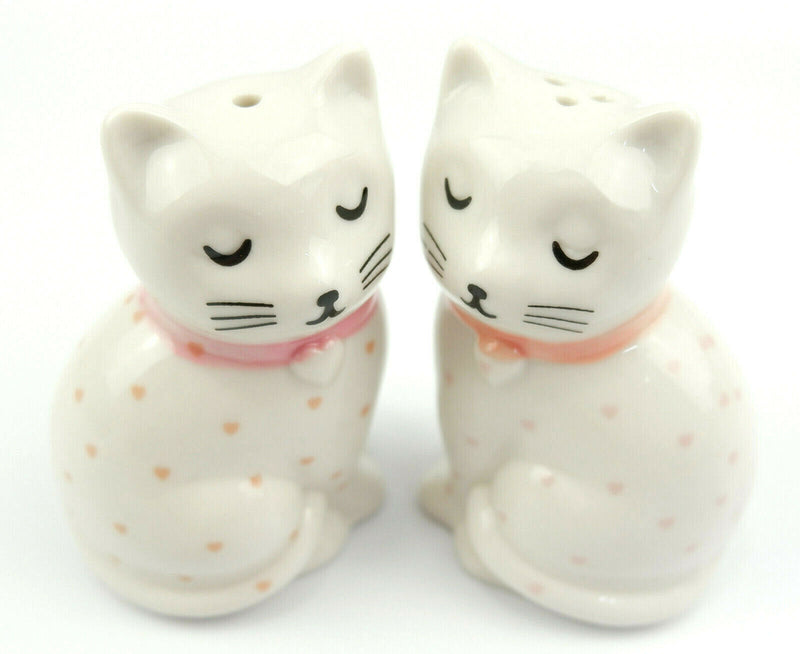 Sass and Belle Novelty Ceramic Salt & Pepper Shaker Pot Condiment Set Table Gift