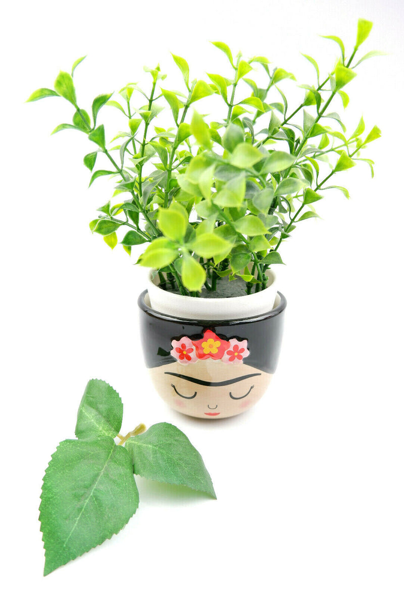 Sass & Belle Mini Small Frida Kahlo Face Planter Flower Plant Pot Home Decor
