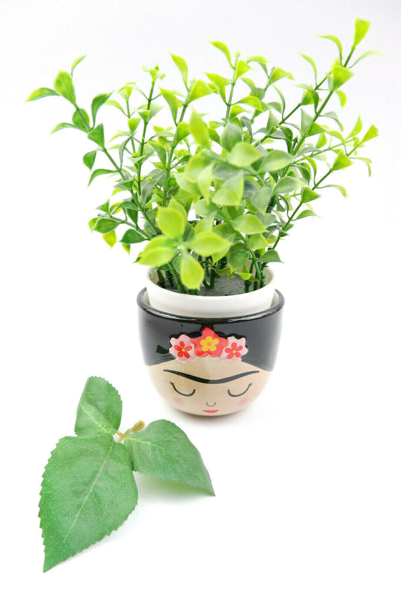 Sass & Belle Mini Small Frida Kahlo Face Planter Flower Plant Pot Home Decor