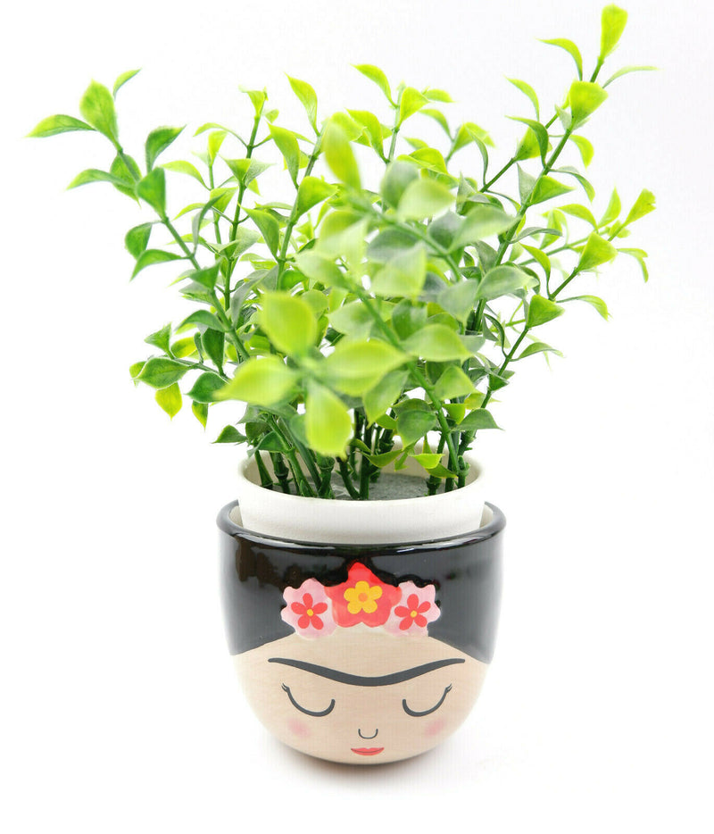 Sass & Belle Mini Small Frida Kahlo Face Planter Flower Plant Pot Home Decor