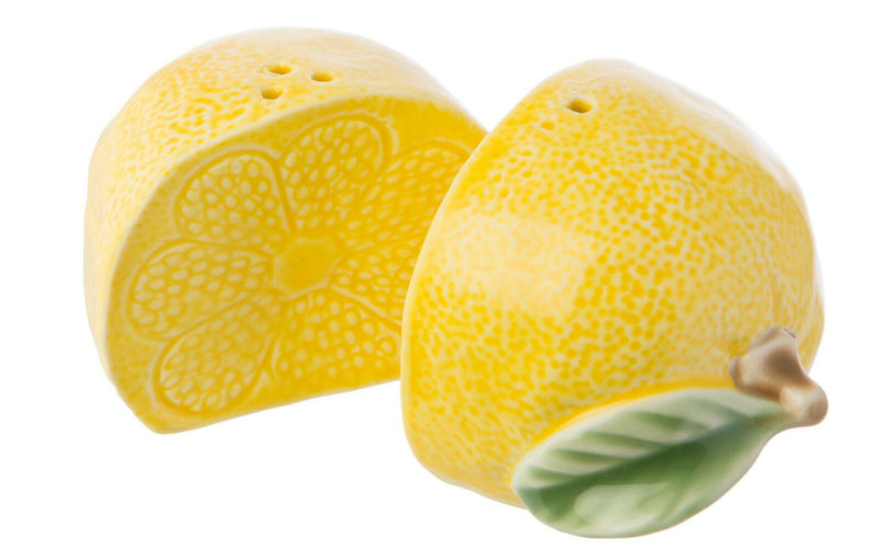 Sass and Belle Novelty Ceramic Salt & Pepper Shaker Pot Condiment Set Table Gift