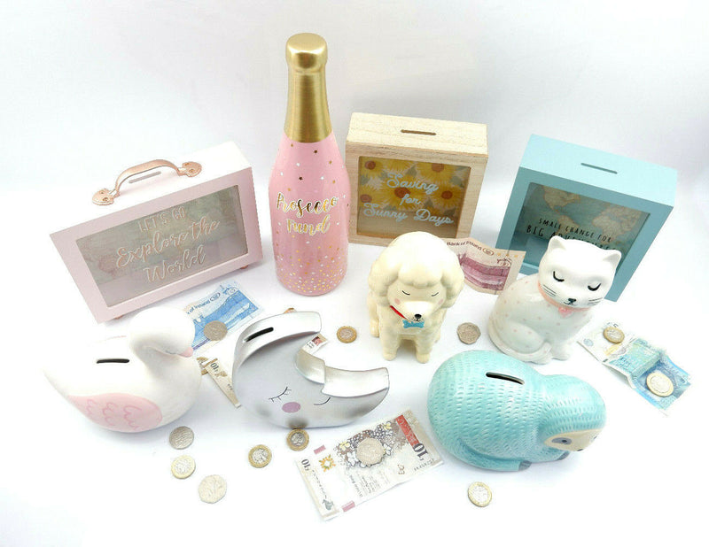 Sass and Belle Money Boxes Cash Coin Sloth Dog Cat Moon Sunflower Map Moneybox