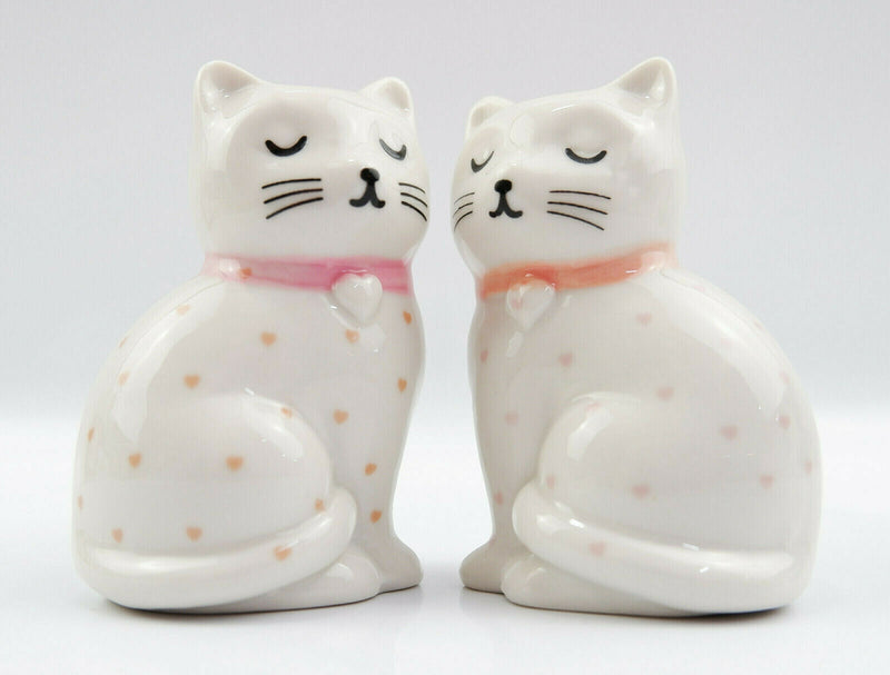 Sass and Belle Novelty Ceramic Salt & Pepper Shaker Pot Condiment Set Table Gift
