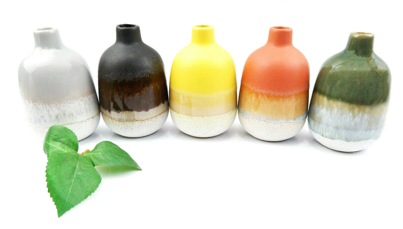 Sass & Belle Mojave Glaze Vases Flower Vase Holder Home Decoration