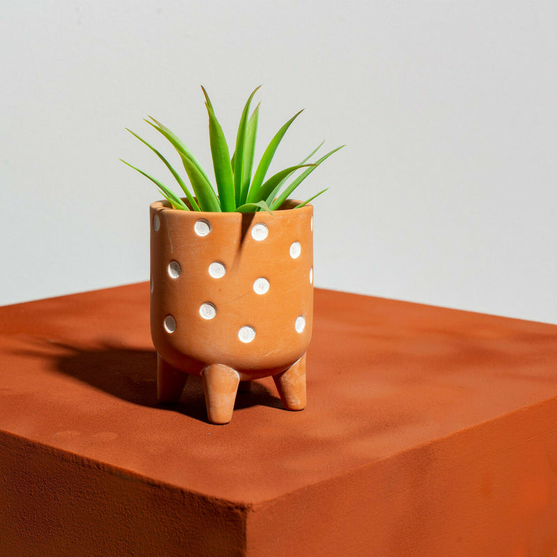 Sass & Belle Small Polka Dot Leggy Planter Terracotta Plant Pot Home Deco Garden