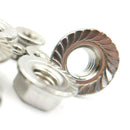 M3 M4 M6 M8 M10 Flanged Nuts Stainless Steel Hex Flange Nut Serrated A2