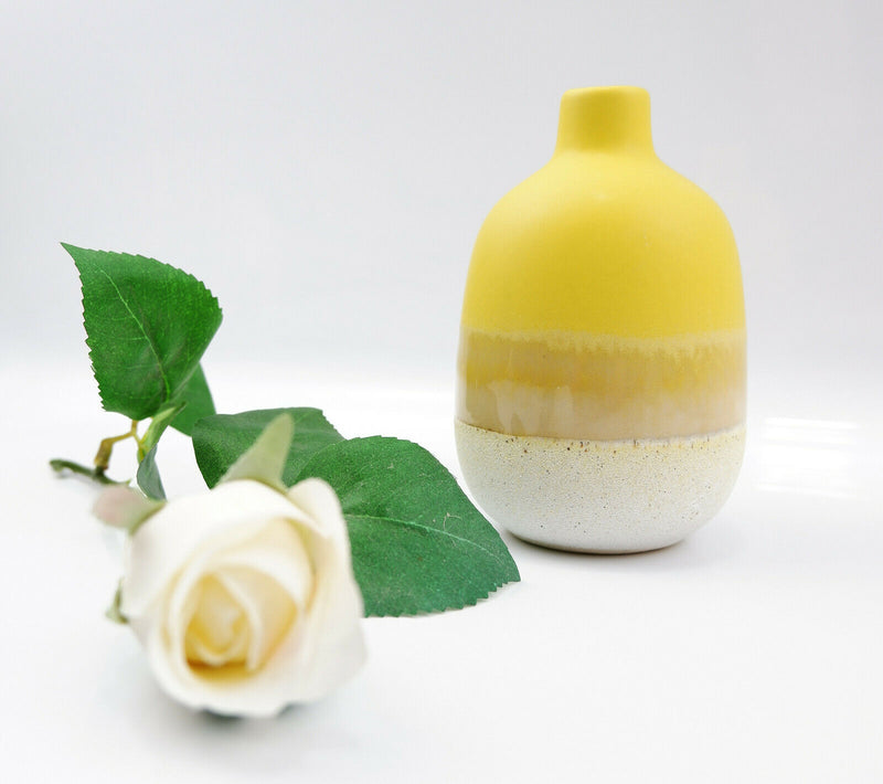 Sass & Belle Mojave Glaze Vases Flower Vase Holder Home Decoration