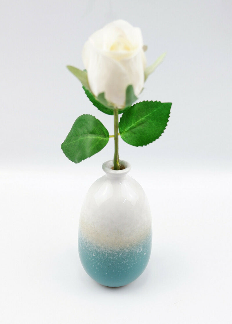 Sass & Belle Mojave Glaze Vases Flower Vase Holder Home Decoration