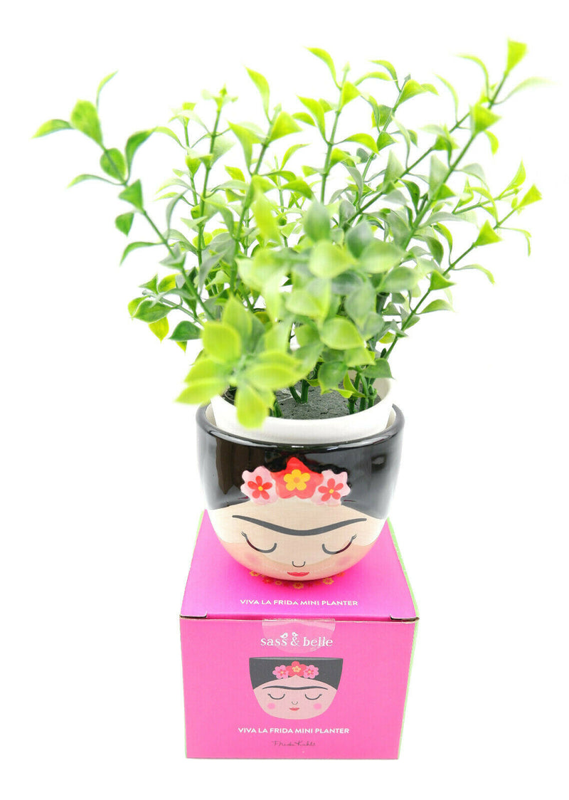 Sass & Belle Mini Small Frida Kahlo Face Planter Flower Plant Pot Home Decor