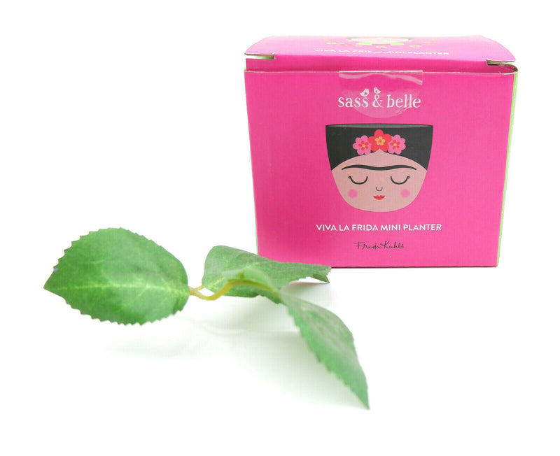 Sass & Belle Mini Small Frida Kahlo Face Planter Flower Plant Pot Home Decor