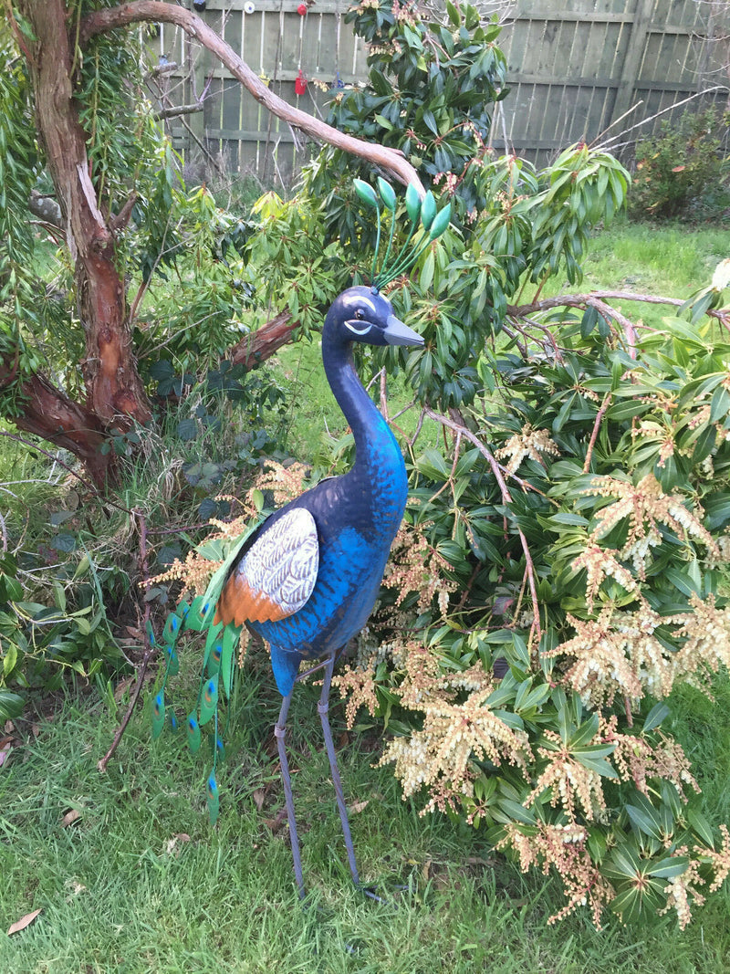 Primus Standing Peacock Hand Crafted Metal Garden Bird Ornament Sculpture PQ1505