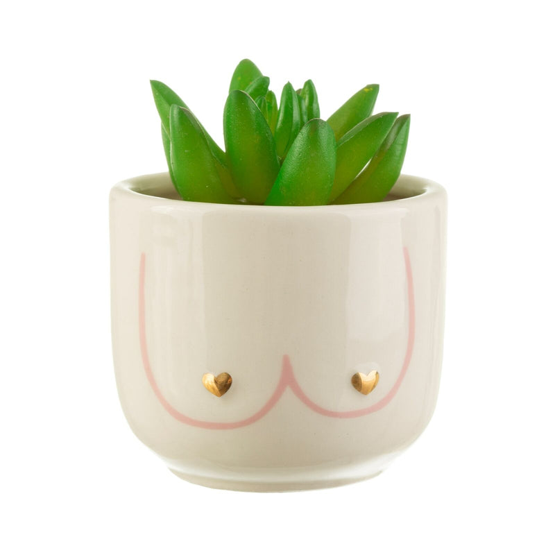 Sass & Belle Mini Girl Power Boobies Ceramic Planter