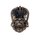 Cast Iron No.10 Downing Street Doorknocker Antique Brass Lion Head Front Door