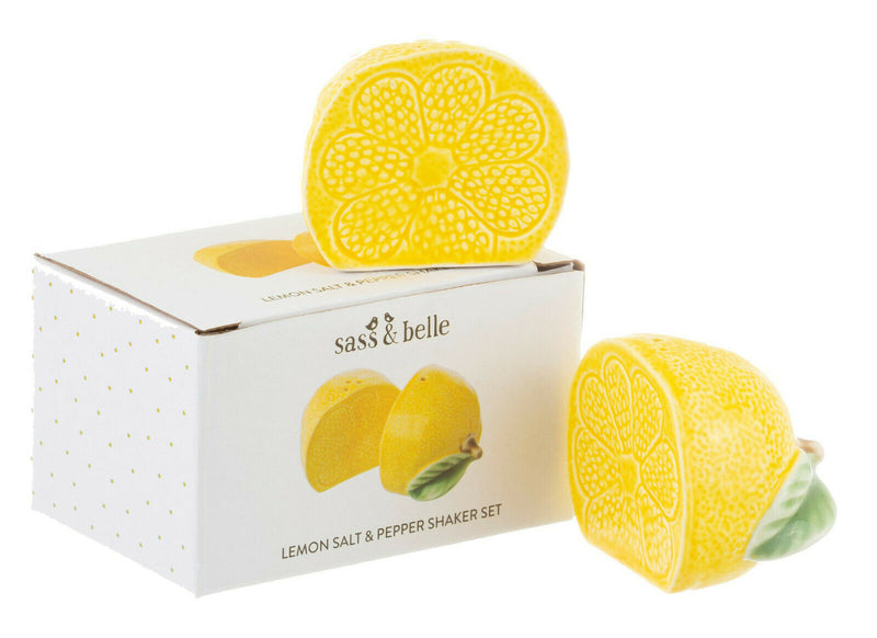 Sass and Belle Novelty Ceramic Salt & Pepper Shaker Pot Condiment Set Table Gift