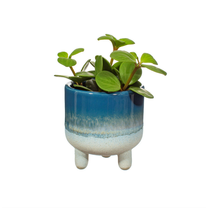 Sass& Belle Ombre Dip Mojave Glaze Ceramic Mini Plant Pot On Legs House Planter