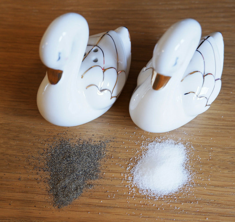 Sass and Belle Novelty Ceramic Salt & Pepper Shaker Pot Condiment Set Table Gift